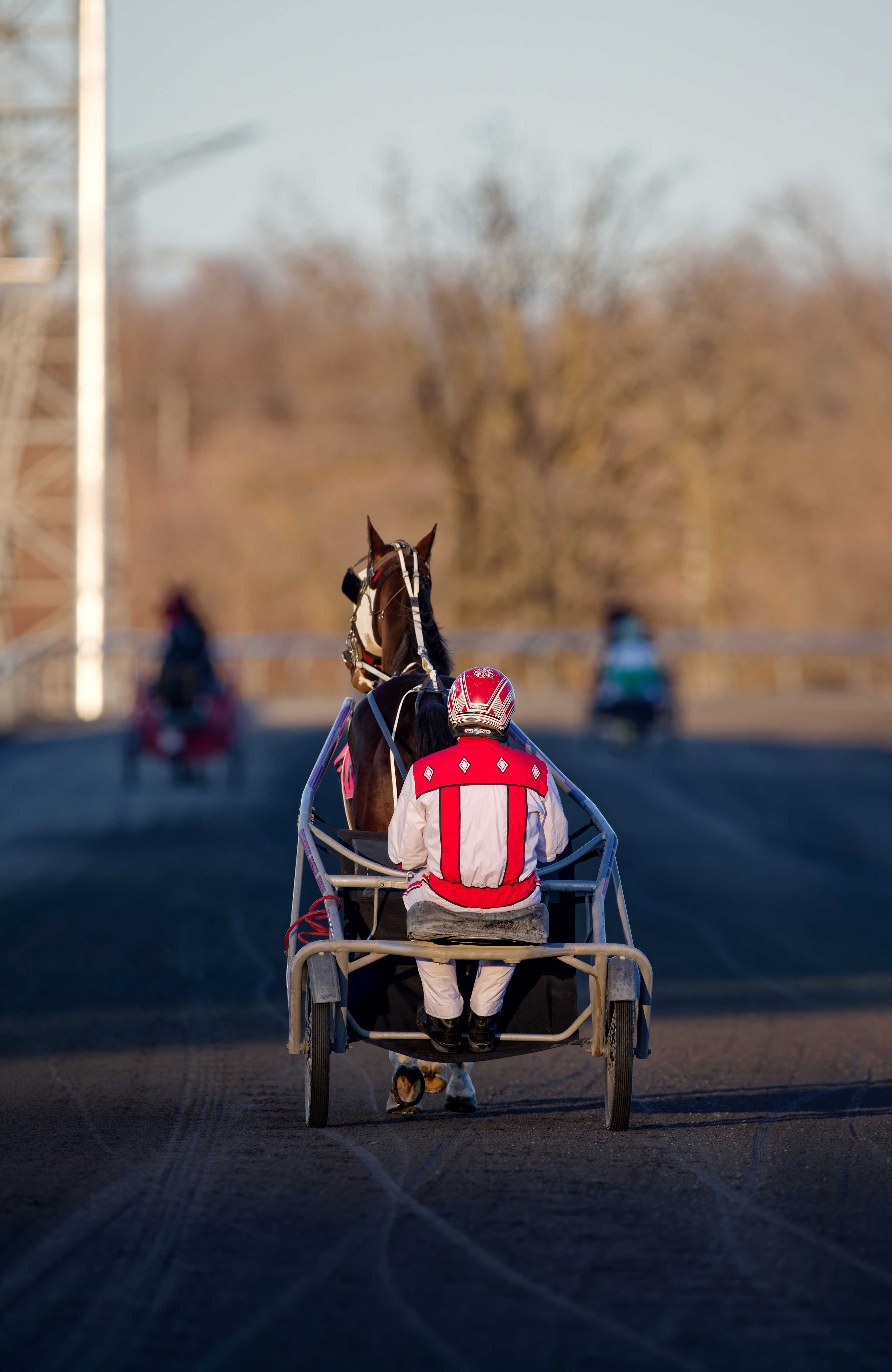 Thursday Training Cancelled at Woodbine Mohawk Park
