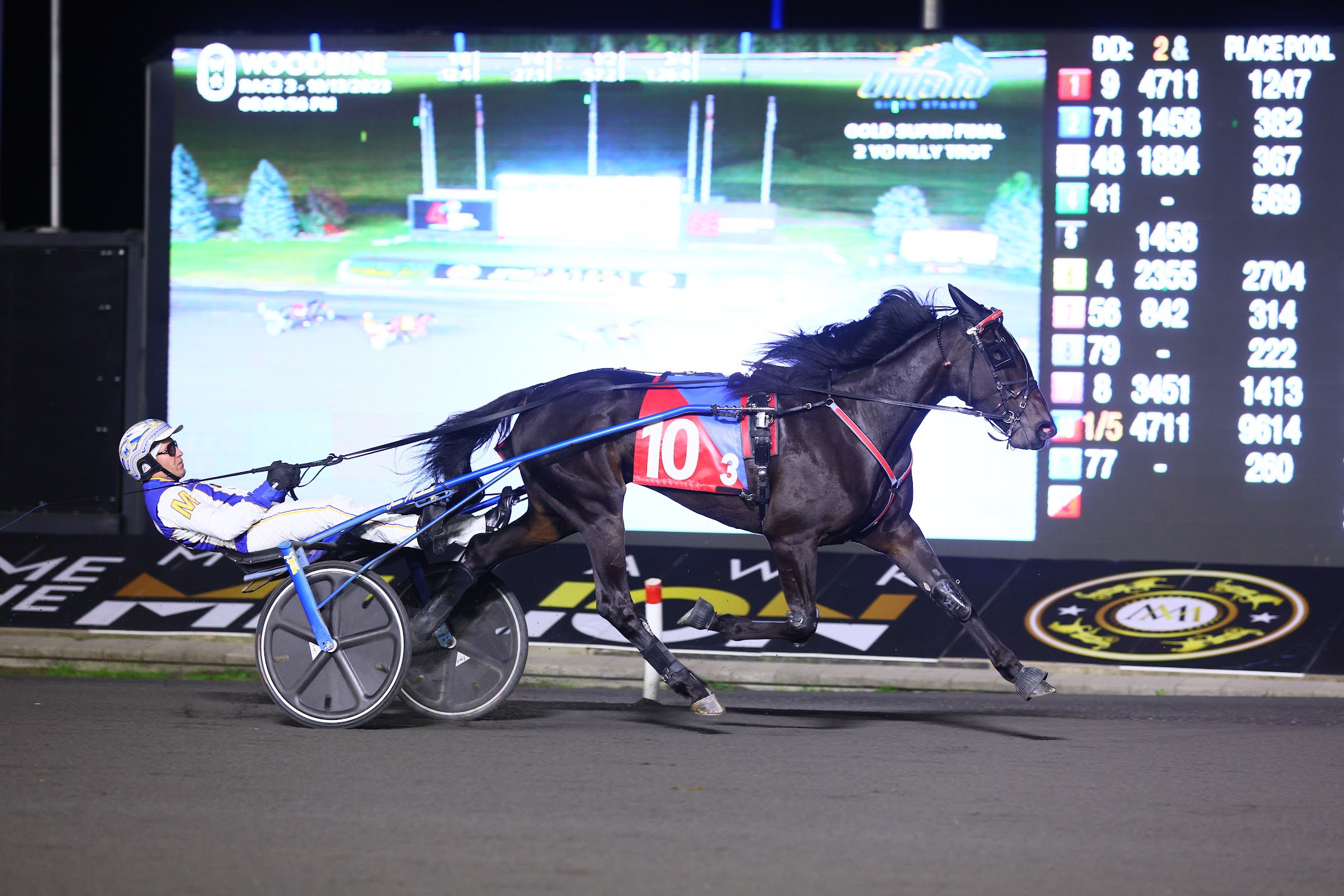 Willys Home Run winning the OSS Super Final on October 13, 2023. (New Image Media)