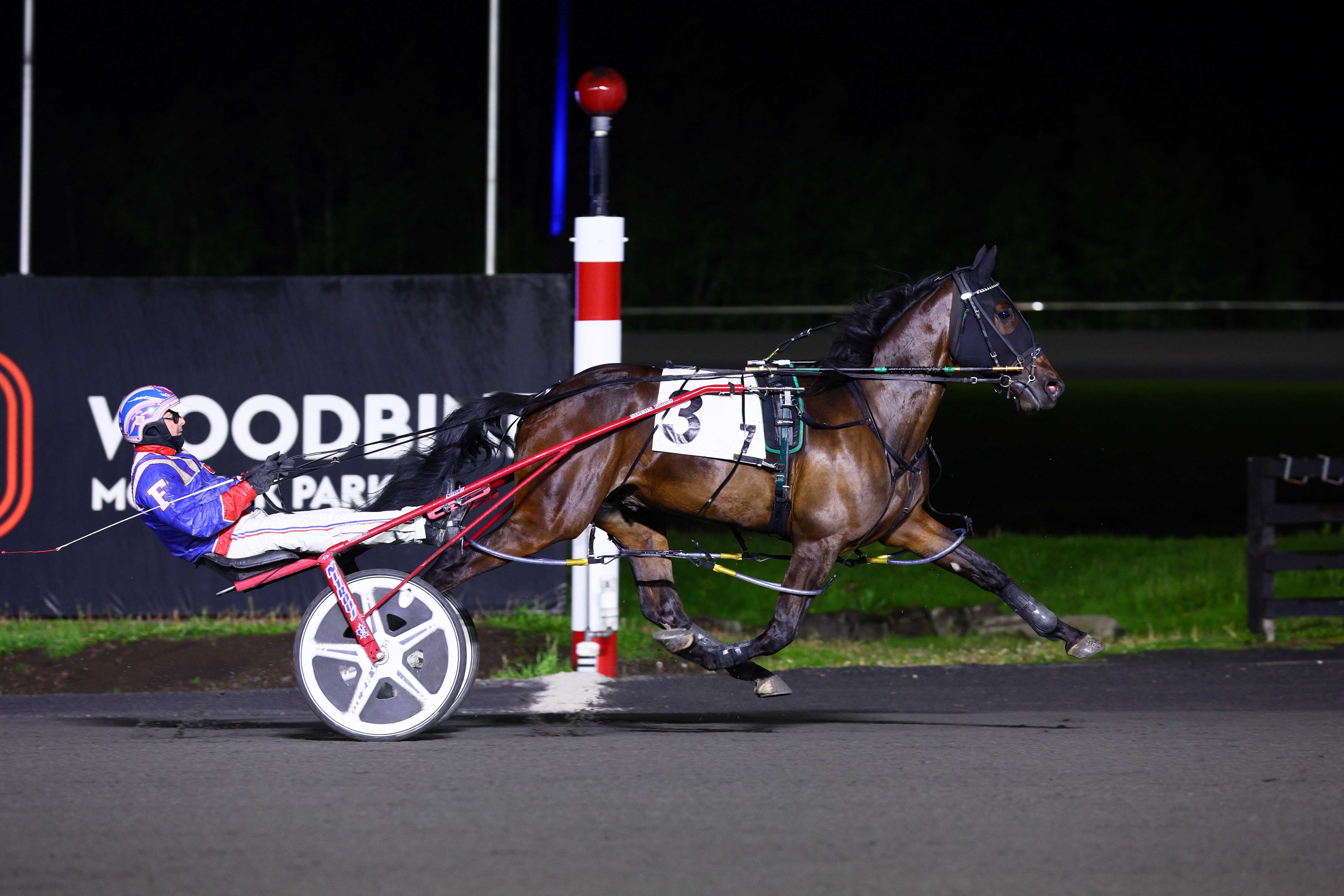 Funtime Bayama and driver Sylvain Filion winning the SBOA Colt Pace Final on May 11, 2024 at Woodbine Mohawk Park (New Image Media)