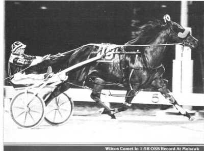 Sept. 15, 1984 – Driver Trevor Ritchie is alone at the Mohawk wire as he establishes an all-time OSS speed mark for rookie pacing colts. Wilcos Comet, sired by Armbro Splurge, paced to a 1:58 mile in the $ 53,075 Second Division of The OSS that evening. The first division went to Twin B Playboy (Doug Brown) in a somewhat slower time of 1:59.3. Wilcos Comet was the property of The Golden Horseshoe Stable of East Detroit, Mich., and trained by the late Lew Clark.