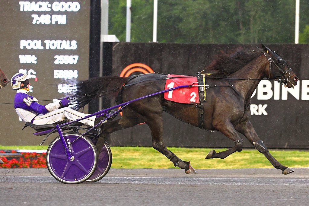 M Ms Dream and driver Dave Miller winning the first Armbro Flight Elimination on June 8, 2024 at Woodbine Mohawk Park (New Image Media)