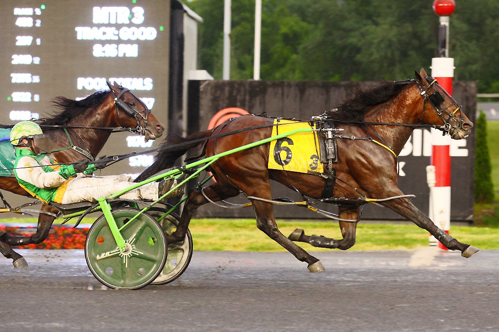 Captain's Quarters and driver Jody Jamieson winning the first Pepsi North America Cup Elimination on June 8, 2024 at Woodbine Mohawk Park (New Image Media)