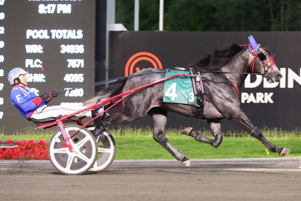 Prince Hal Hanover and Go Ahead Makemyday score in Tompkins-Geers