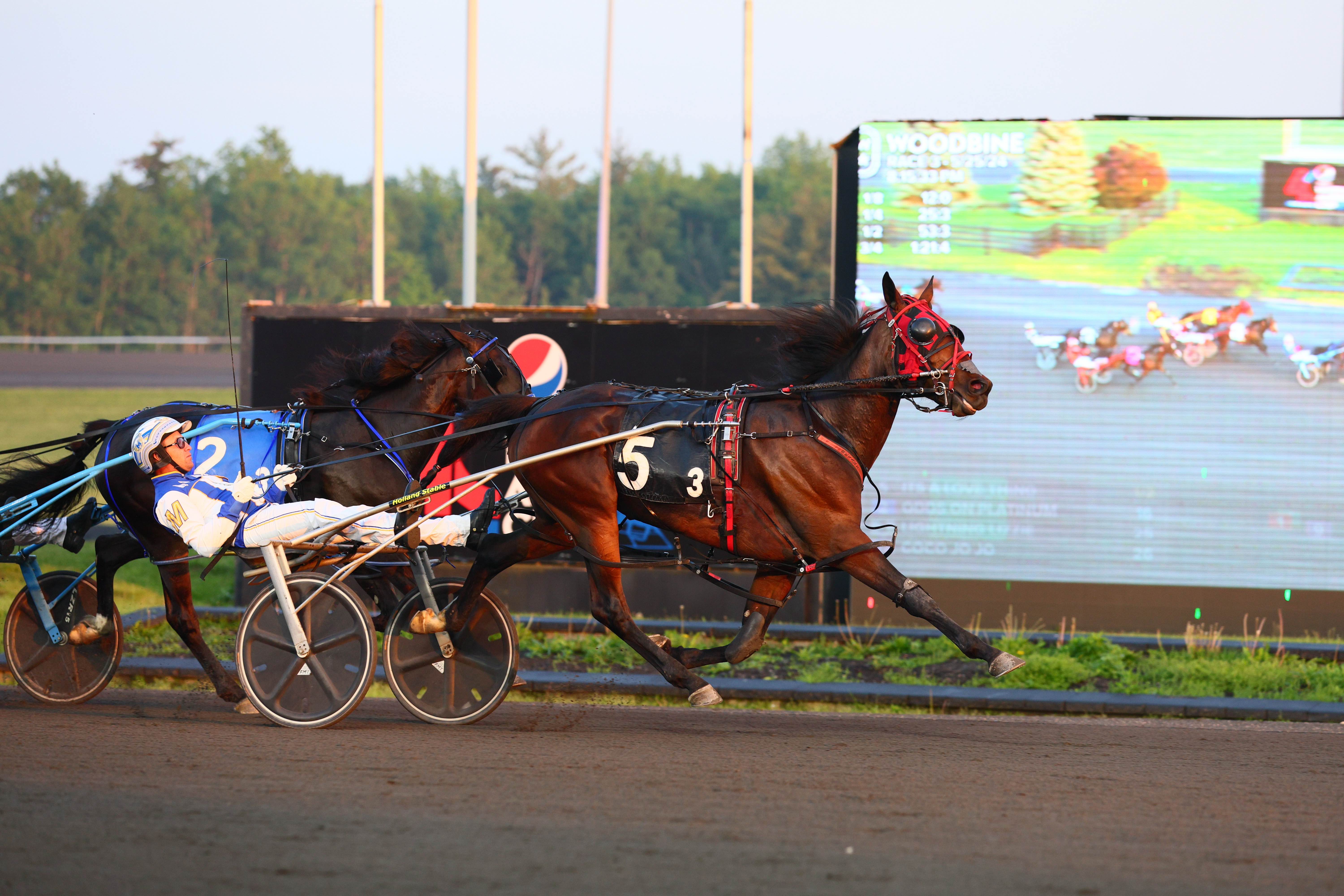 Its A Love Thing and driver James MacDonald winning an OSS Gold Leg on May 25, 2024 at Woodbine Mohawk Park (New Image Media)