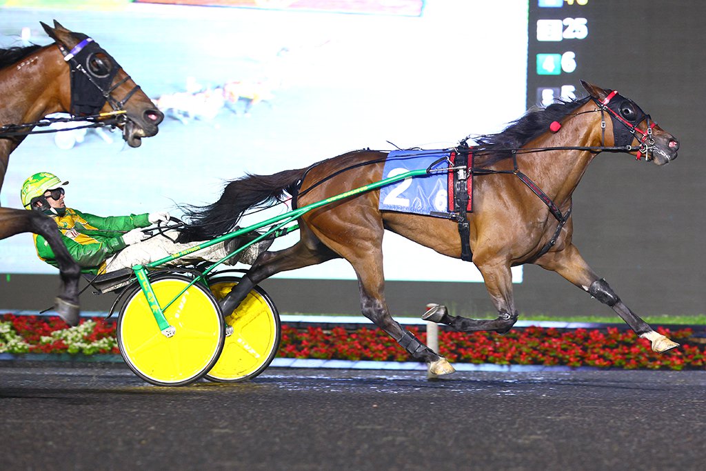 Call me Goo and driver Tim Tetrick winning the second Armbro Flight Elimination on June 8, 2024 at Woodbine Mohawk Park (New Image Media)