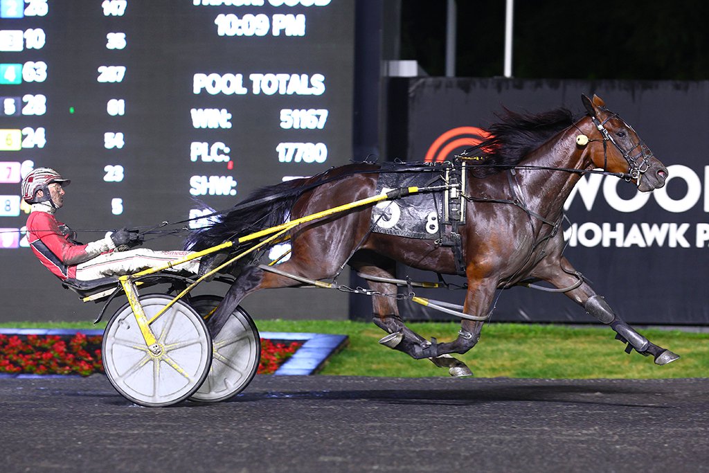 Canigetalouploup and driver Dexter Dunn winning the second Fan Hanover Elimination on June 8, 2024 at Woodbine Mohawk Park (New Image Media)