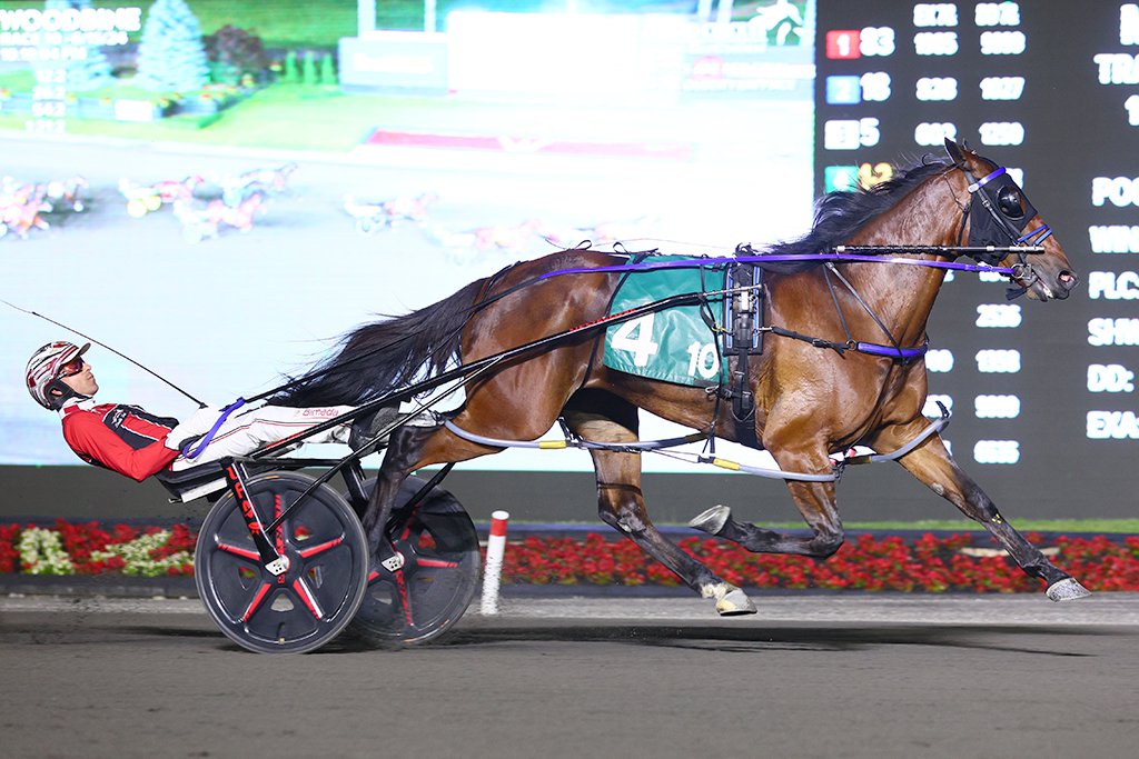 Twin B Joe Fresh and driver Dexter Dunn winning the Roses Are Red Final on June 15, 2024 at Woodbine Mohawk Park (New Image Media)