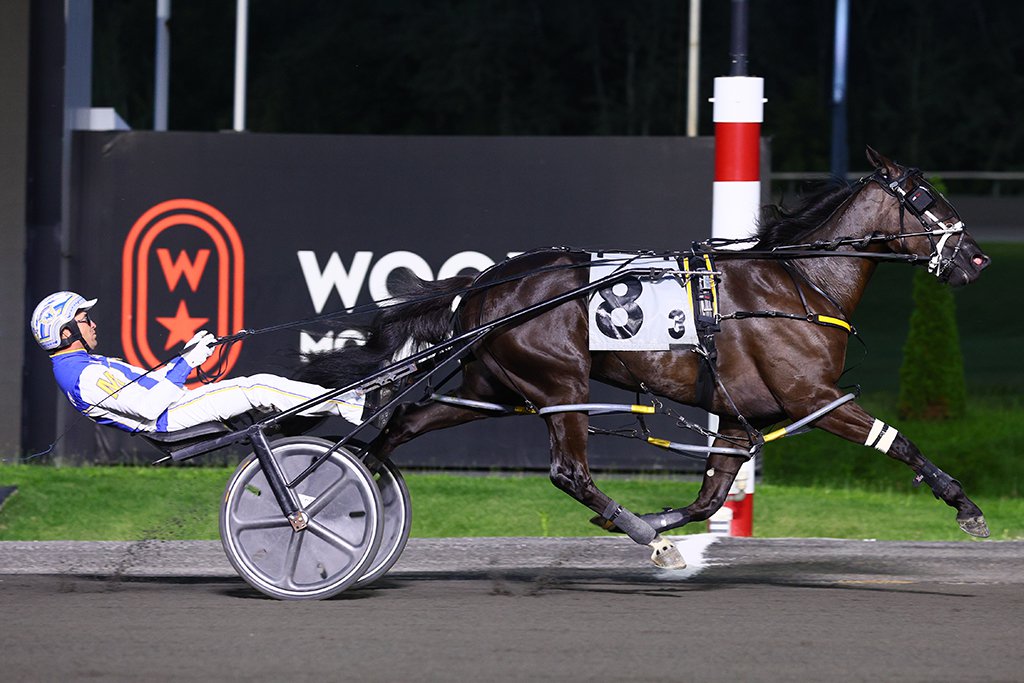 Chantilly and James MacDonald winning a division of the Eternal Camnation Stakes on August 24. (New Image Media)