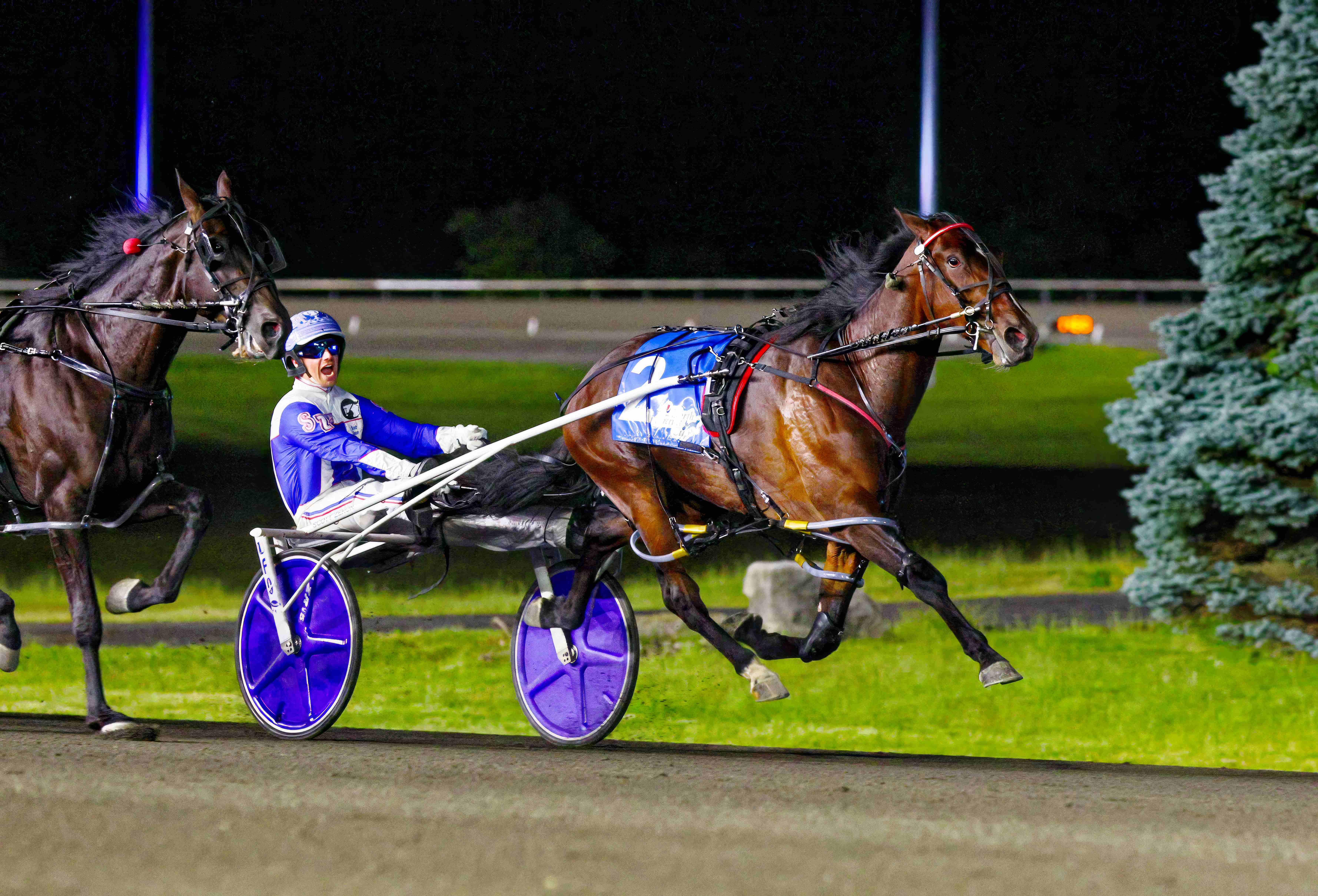 Its My Show and driver Scott Zeron winning the 2023 Pepsi North America Cup at Woodbine Mohawk Park (New Image Media)