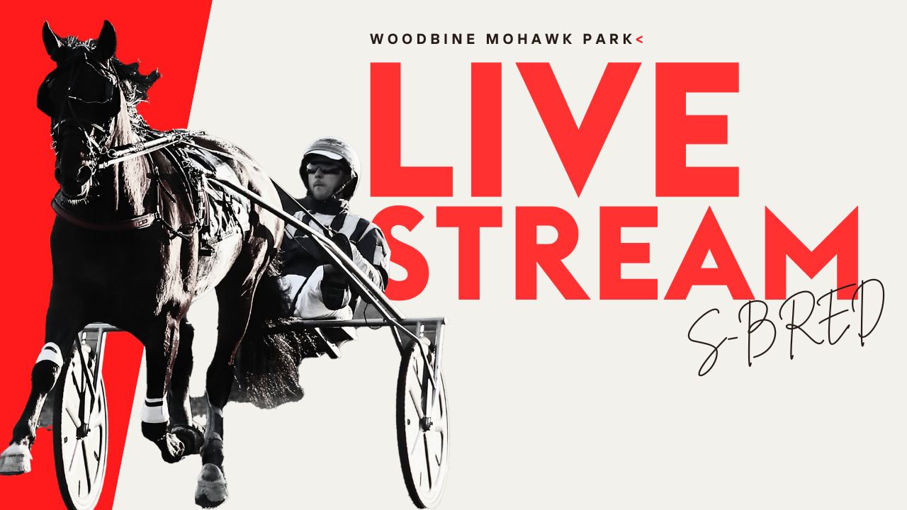 Woodbine Mohawk Park Live Stream