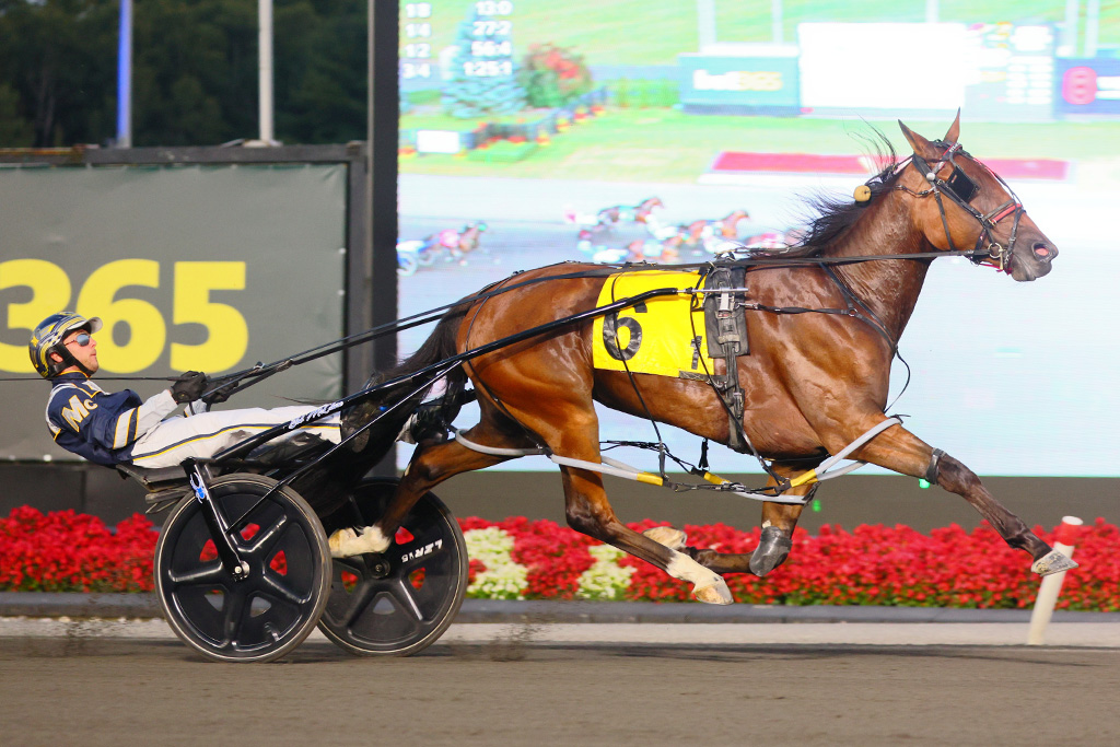 Cant See Me and driver Bob McClure winning the first elimination for the Shes A Great Lady on September 14, 2024 at Woodbine Mohawk Park (New Image Media)