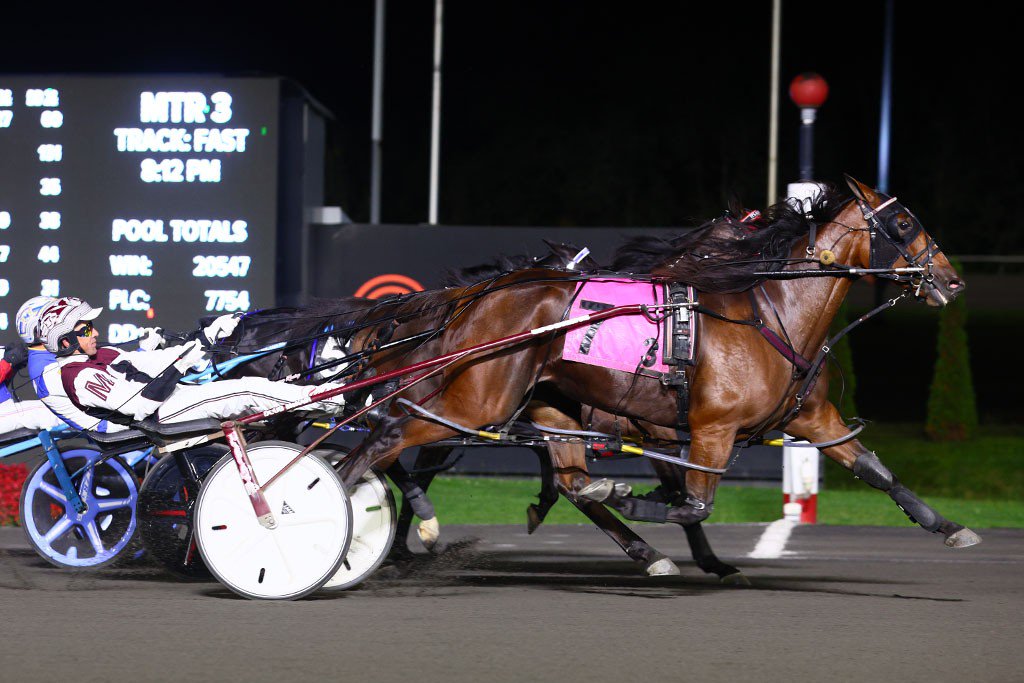 Blazing Belle and Doug McNair winning Thursday's OSS Gold. (New Image Media)