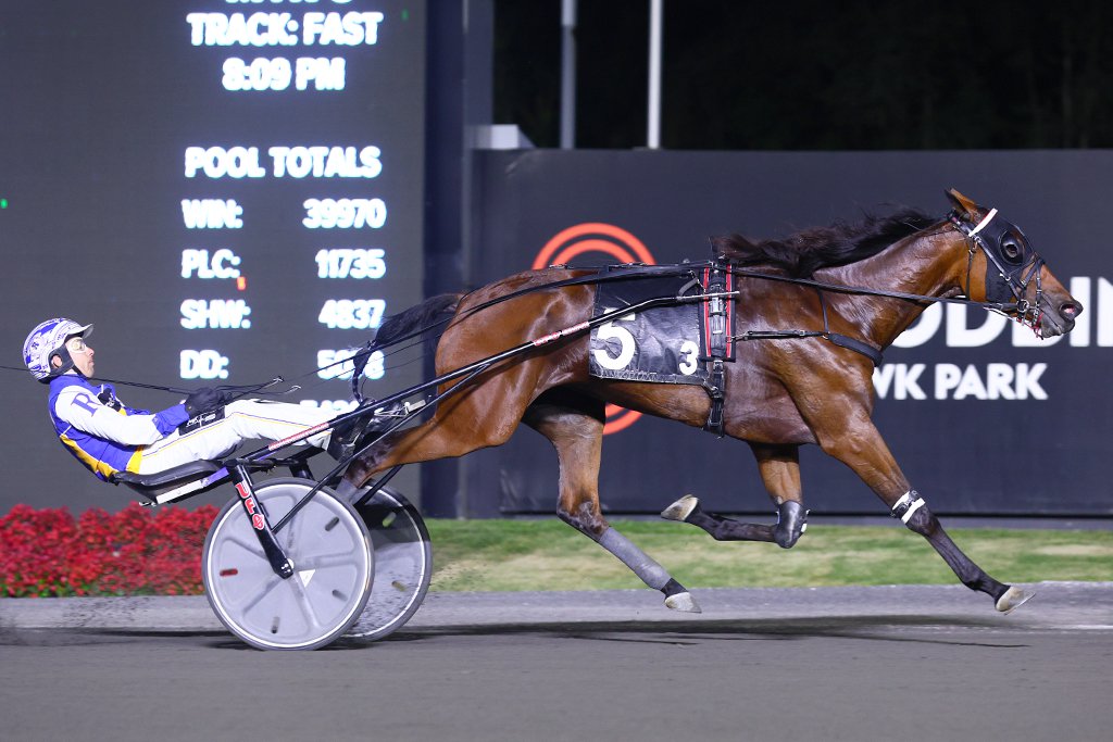 Emoji Hanover and driver Louis-Phillippe Roy winning the second Elegantimage elimination on September 14, 2024 at Woodbine Mohawk Park (New Image Media)