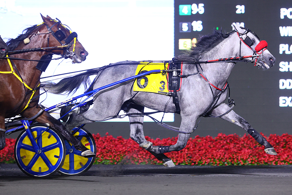 STERLING CHOICE and driver James MacDonald winning a division of the Champlain for pacing 2-year-olds on September 7, 2024 at Woodbine Mohawk Park (New Image Media)