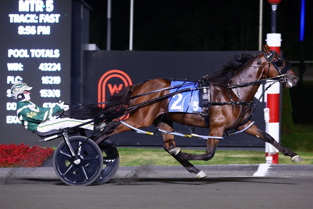 Captain Optimistic and driver Yannick Gingras winning the first Metro Pace Elimination on September 14, 2024 at Woodbine Mohawk Park (New Image Media)