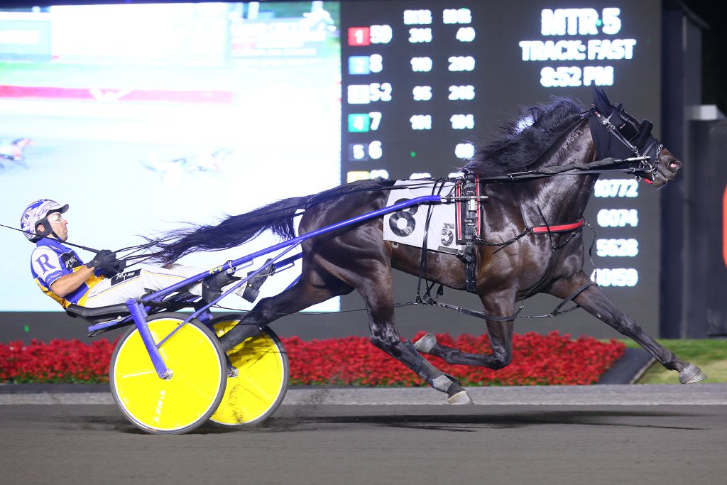 Emoticon Legacy and Louis-Philippe Roy winning the Champlain Stakes. (New Image Media)