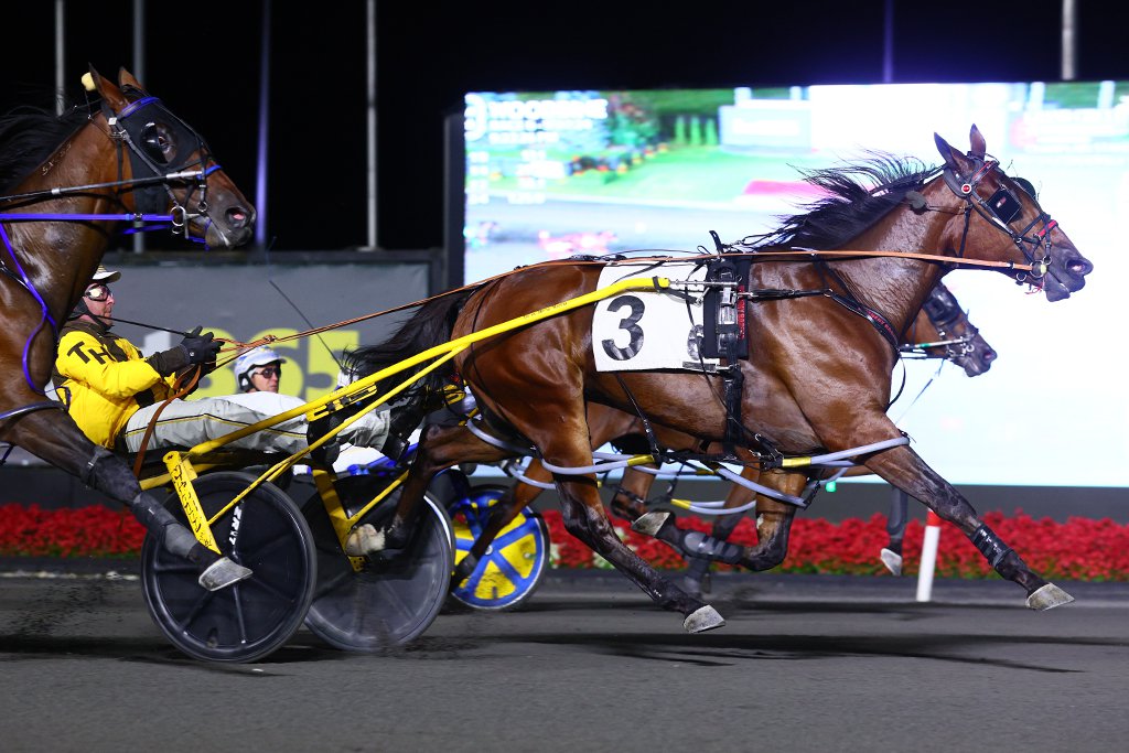 BOXER SEELSTER and driver Trevor Henry winning a division of the Champlain Stakes on September 7, 2024 at Woodbine Mohawk Park (New Image Media)