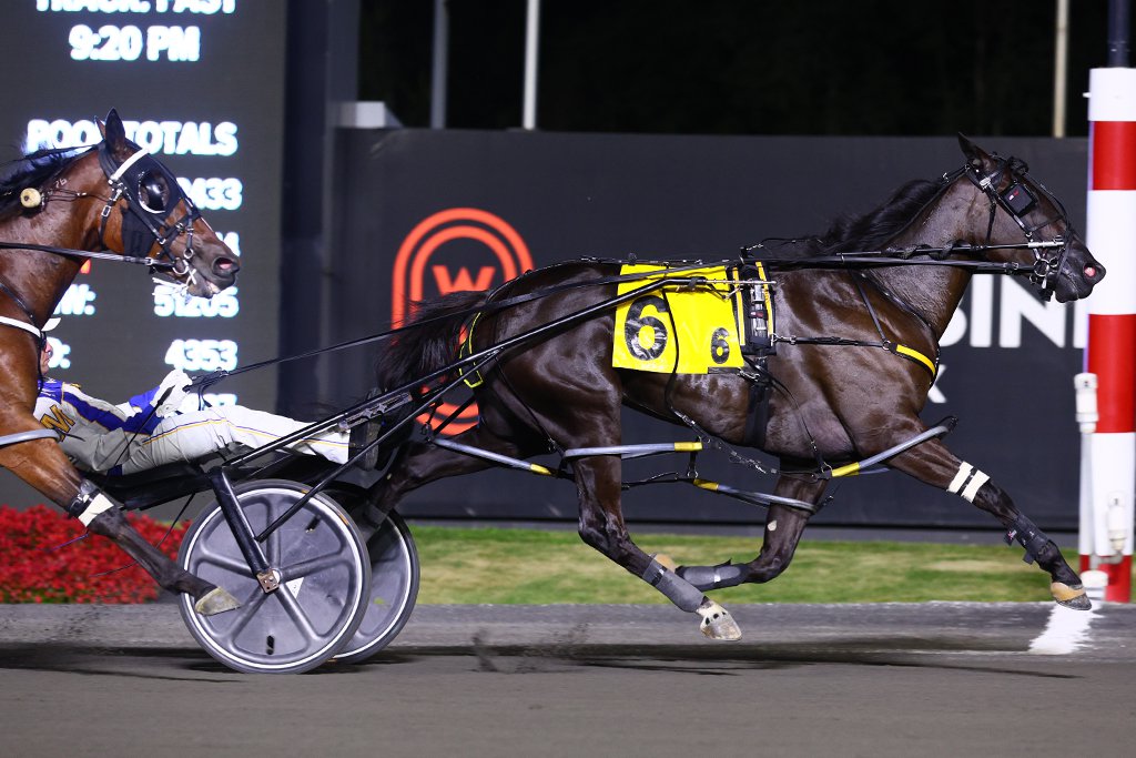 Chantilly and driver James MacDonald winning the second elimination for the Shes A Great Lady on September 14, 2024 at Woodbine Mohawk Park (New Image Media)