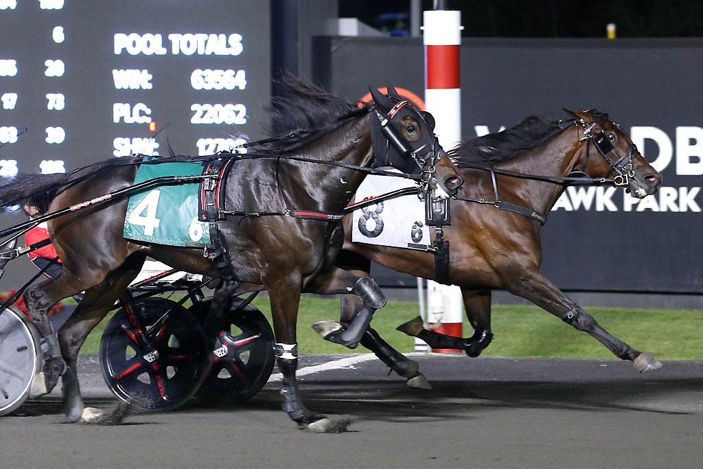 French Champagne and driver Dexter Dunn winning the Elegantimage final on September 21, 2024 at Woodbine Mohawk Park (New Image Media)