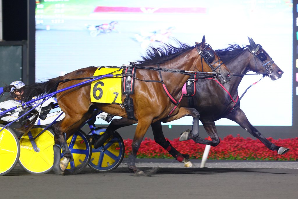 Monalishi (inside) digs in to win the Champlain on Friday evening. (New Image Media)