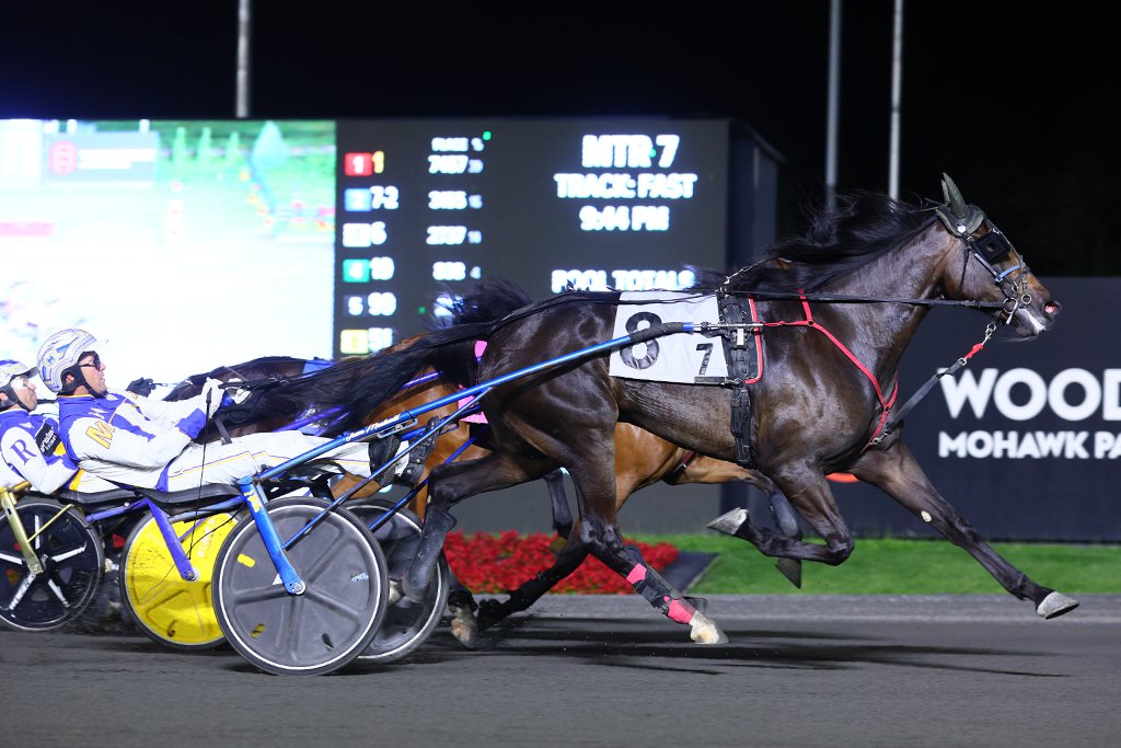 Monalishi and driver James MacDonald winning the Peaceful Way final on August 24, 2024 at Woodbine Mohawk Park (New Image Media)