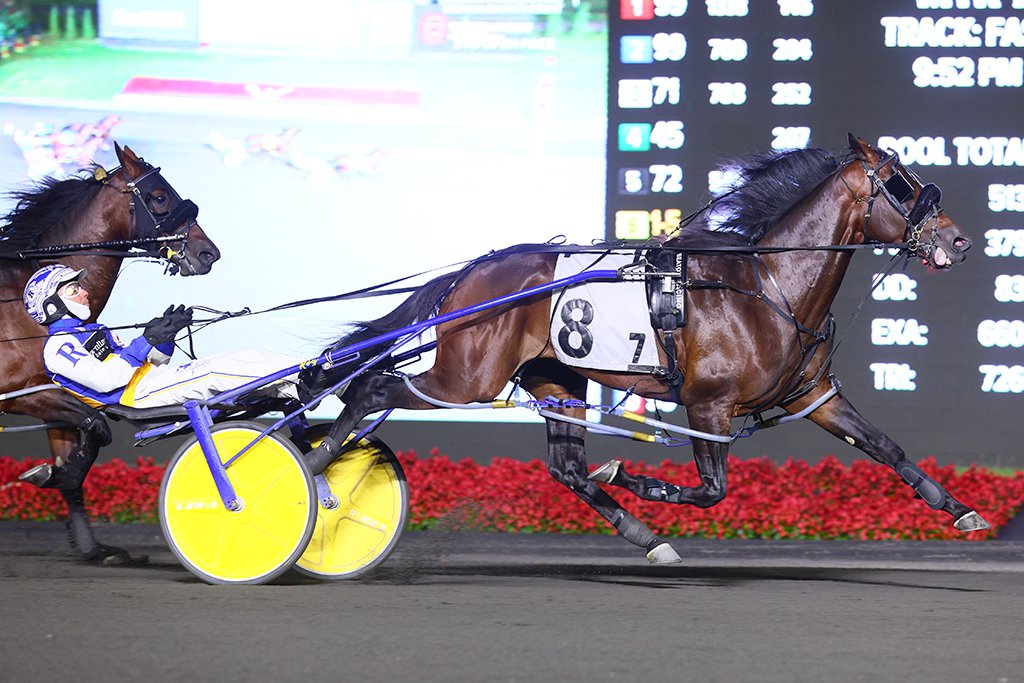 Nijinsky and driver Louis-Philippe Roy winning a Simcoe Stakes division on September 7, 2024 at Woodbine Mohawk Park (New Image Media)