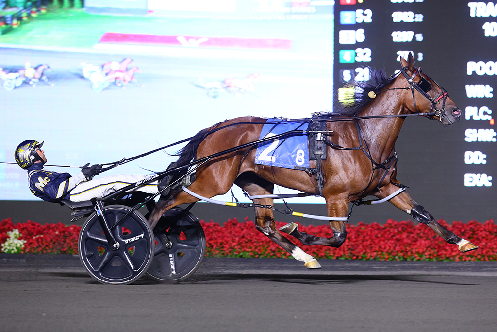 CANT SEE ME and driver Bob McClure winning the second Champlain division for 2-year-old pacing fillies on September 7, 2024 at Woodbine Mohawk Park (New Image Media)