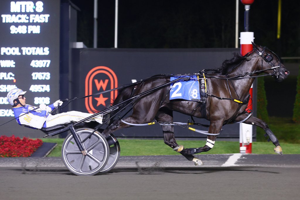 Chantilly and driver James MacDonald winning the She's A Great Lady final on September 21, 2024 at Woodbine Mohawk Park (New Image Media)