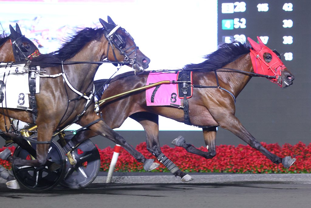 Medley Seelster (7) winning her division of the Champlain on Friday. (New Image Media)