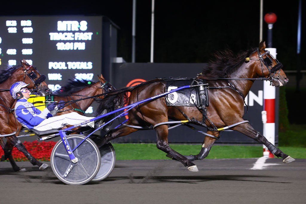 Wikipedia and Travis Cullen winning Thursday's OSS Gold. (New Image Media)