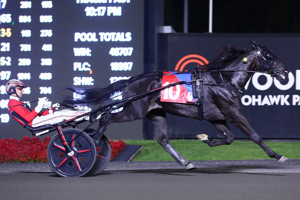 Amazing Catch and driver Dexter Dunn winning the Canadian Trotting Classic Final on September 21, 2024 at Woodbine Mohawk Park(New Image Media)