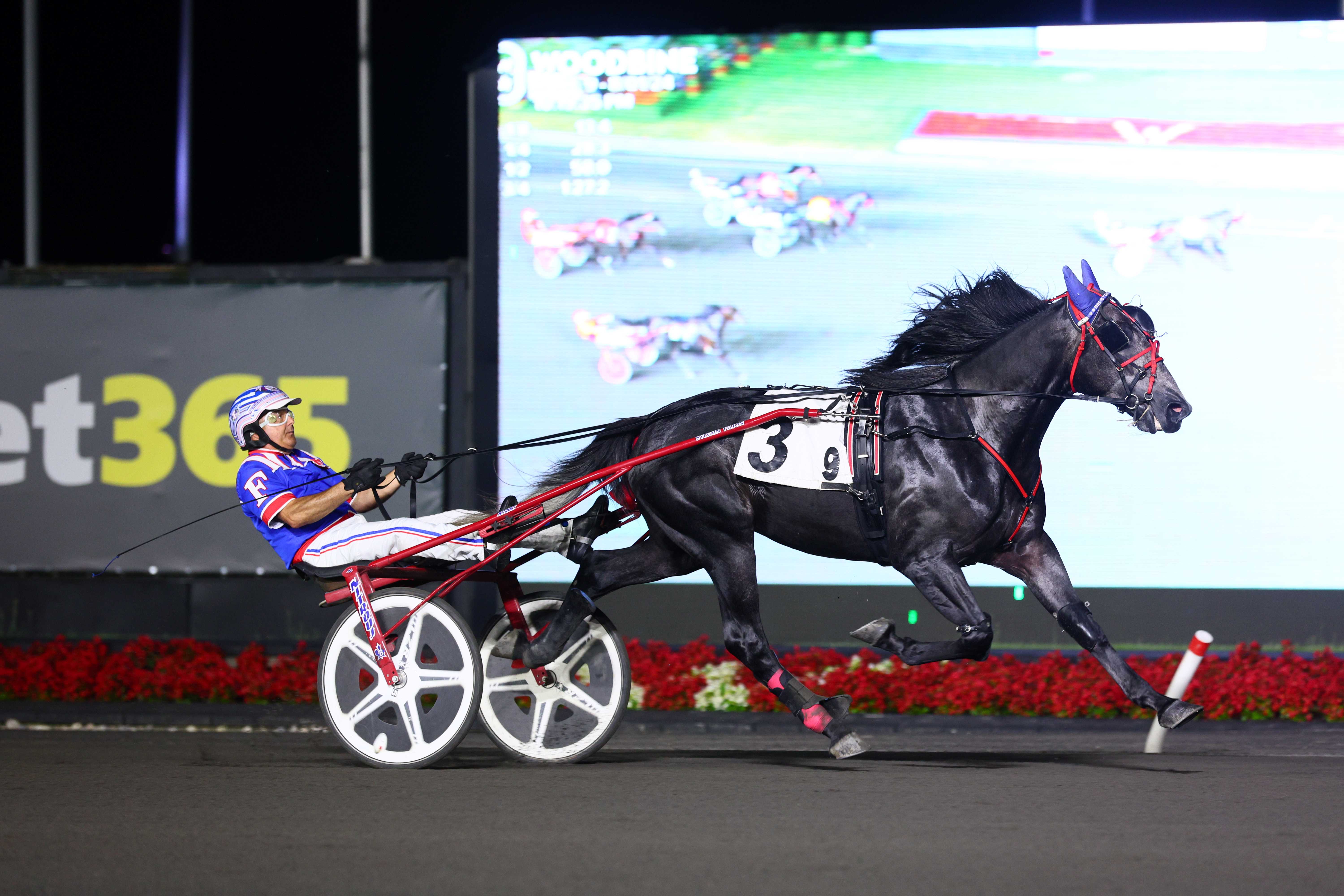 Go Ahead Makemyday and driver Sylvain Filion winning the second leg of the Millard Farm Series on August 1, 2024 at Woodbine Mohawk Park (New Image Media)