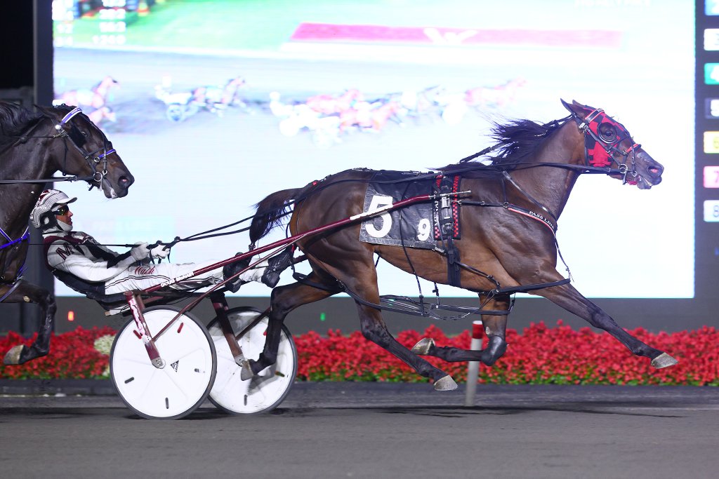 Pass Line and driver Doug McNair winning a Simcoe Stakes division on September 7, 2024 at Woodbine Mohawk Park (New Image Media)