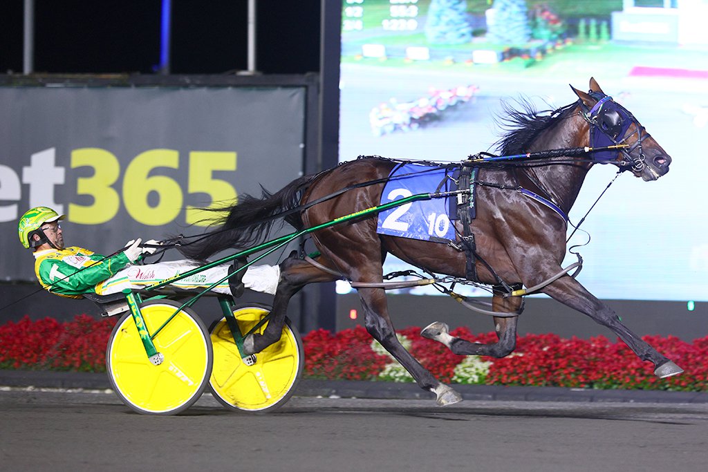 Fallout and driver Tim Tetrick winning the second Metro Pace elimination on September 14, 2024 at Woodbine Mohawk Park (New Image Media)