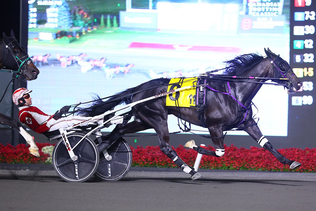 Sir Pinocchio and driver Jason Bartlett winning the Canadian Trotting Classic Elimination on September 14, 2024 at Woodbine Mohawk Park (New Image Media)