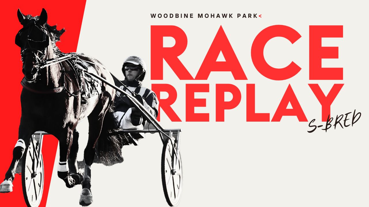 Woodbine Standardbred Race Replays