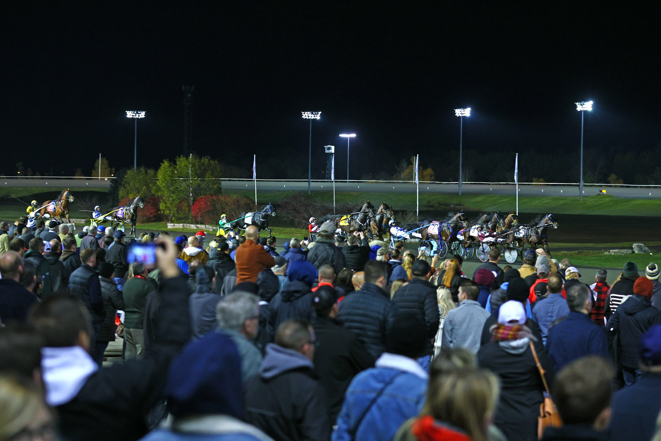 Breeders Crown to return to Woodbine Mohawk Park in 2025