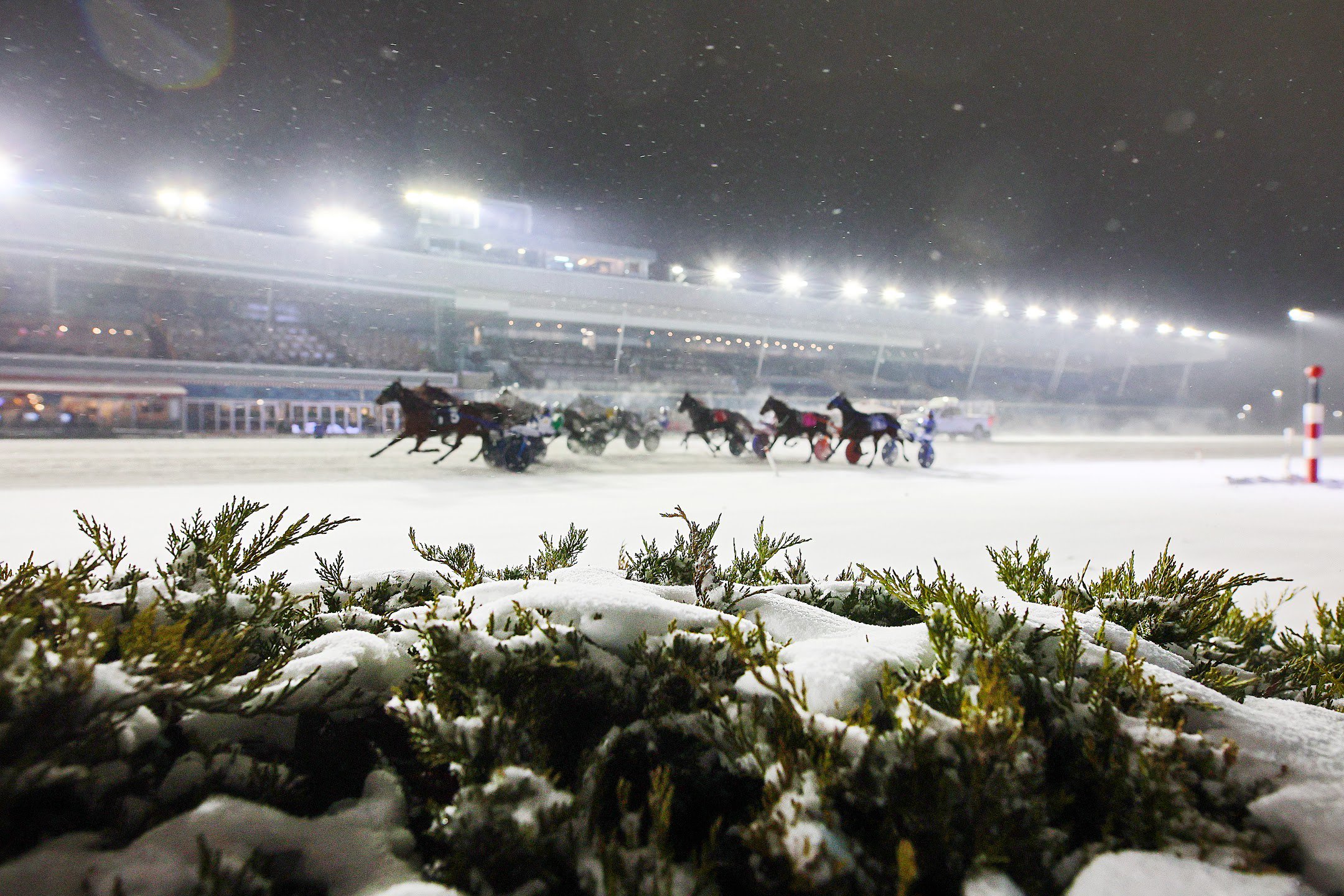 Holiday Racing and Draw Schedule for Mohawk Park