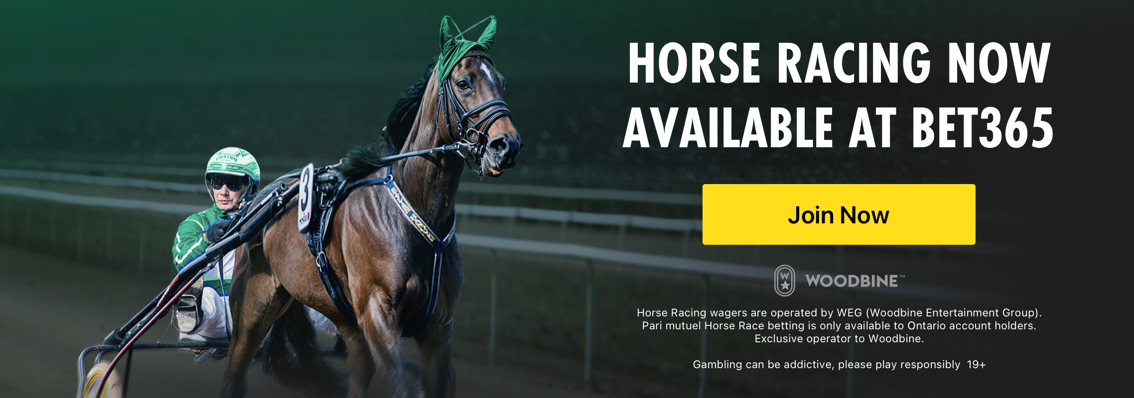 Woodbine Mohawk Park Standardbred Races Now Available On Bet365