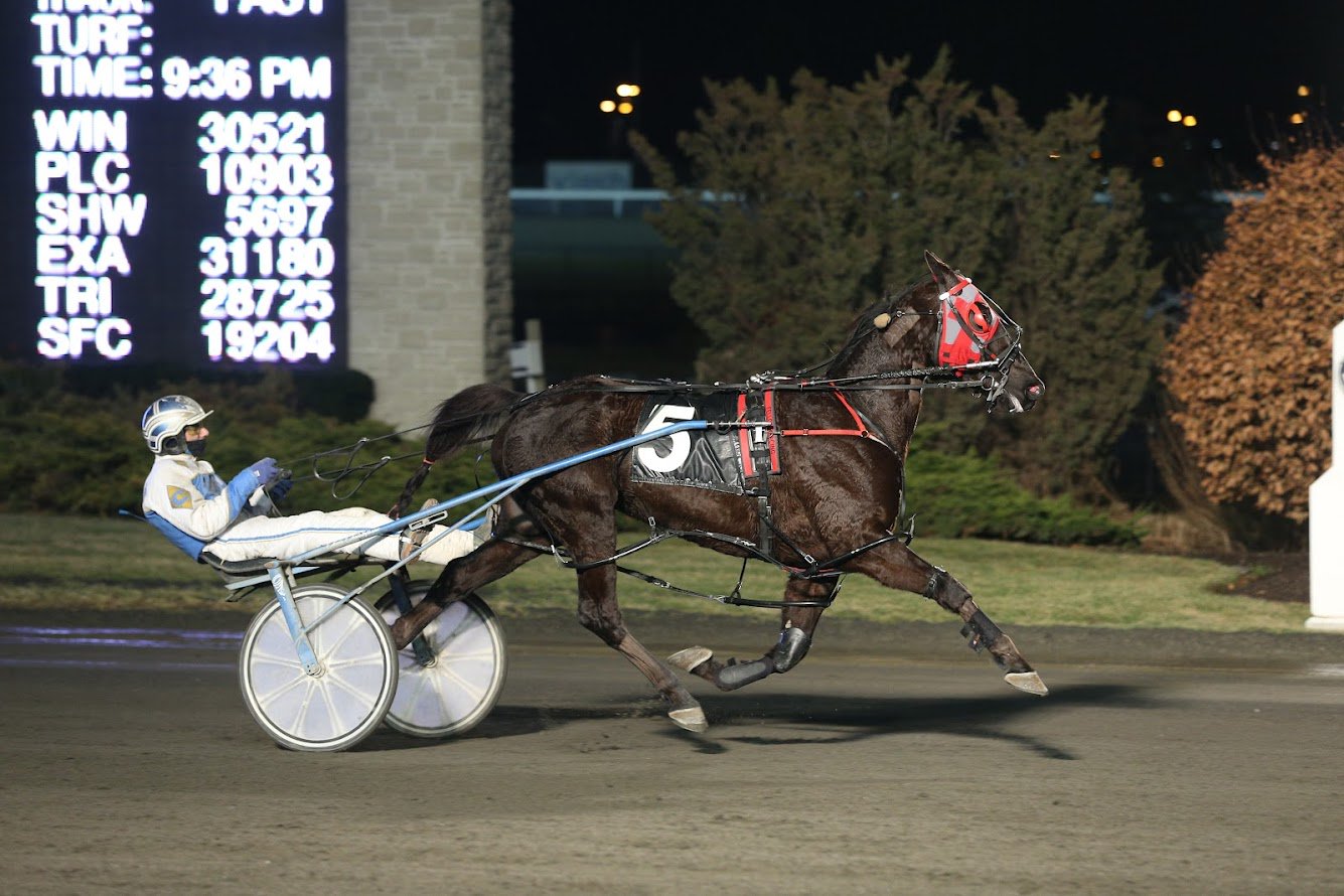 Shadow Place and driver Chris Christoforou winning Race 1 on January 27, 2018 at Woodbine (New Image Media)