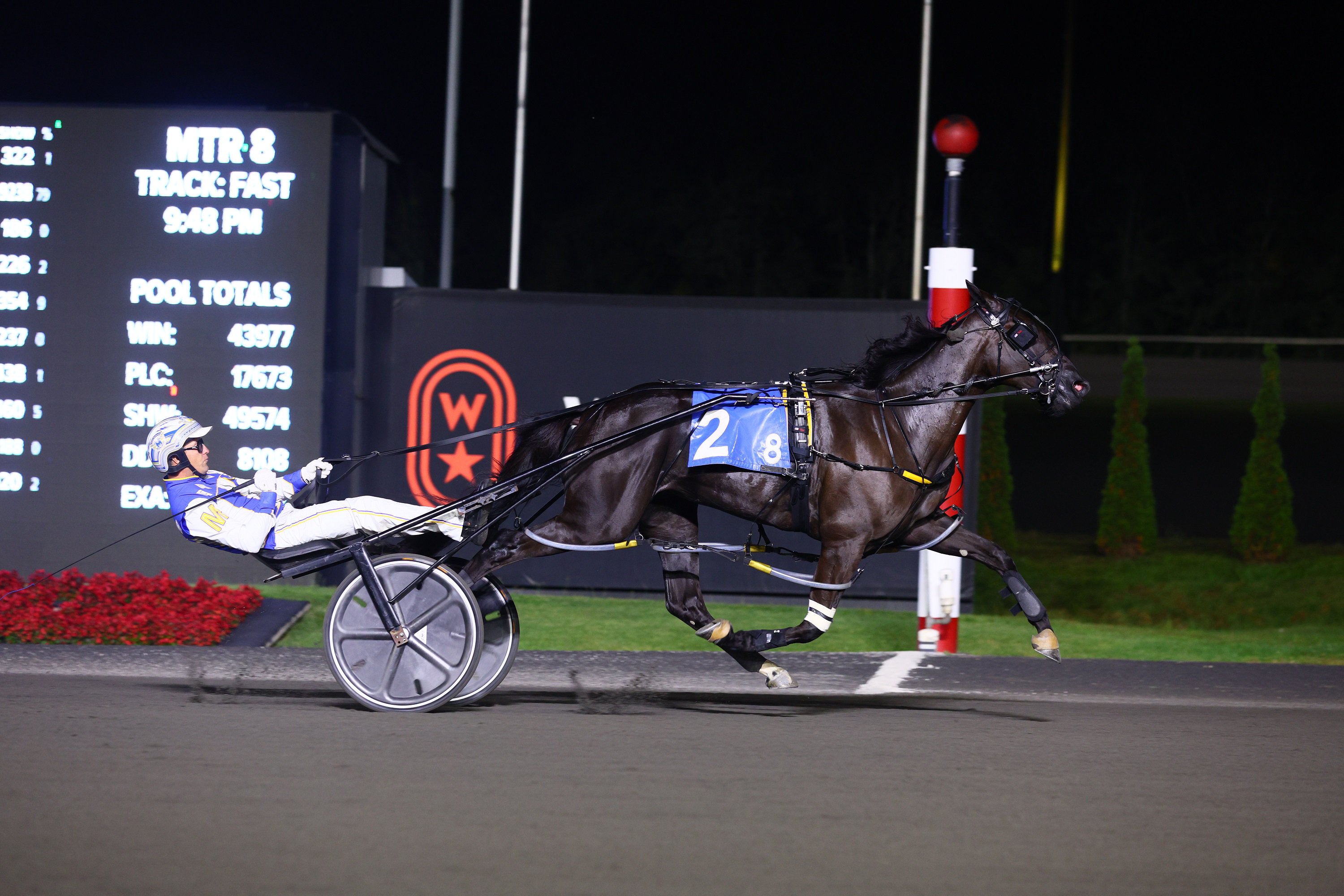 Chantilly and driver James Macdonald winning the She's a Great Lady Finals for 2-year-old fillies on September 21, 2024 at Woodbine Mohawk Park (New Image Media)