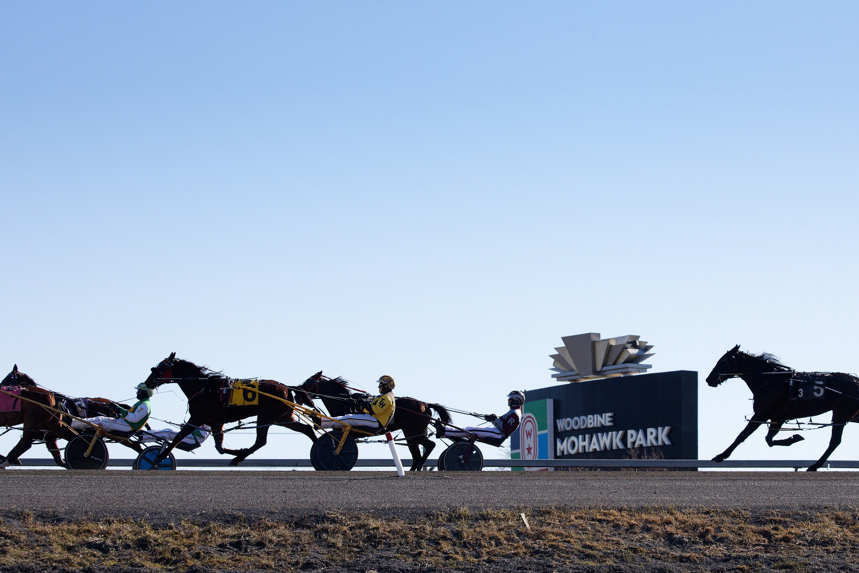 Woodbine Mohawk Park (New Image Media)