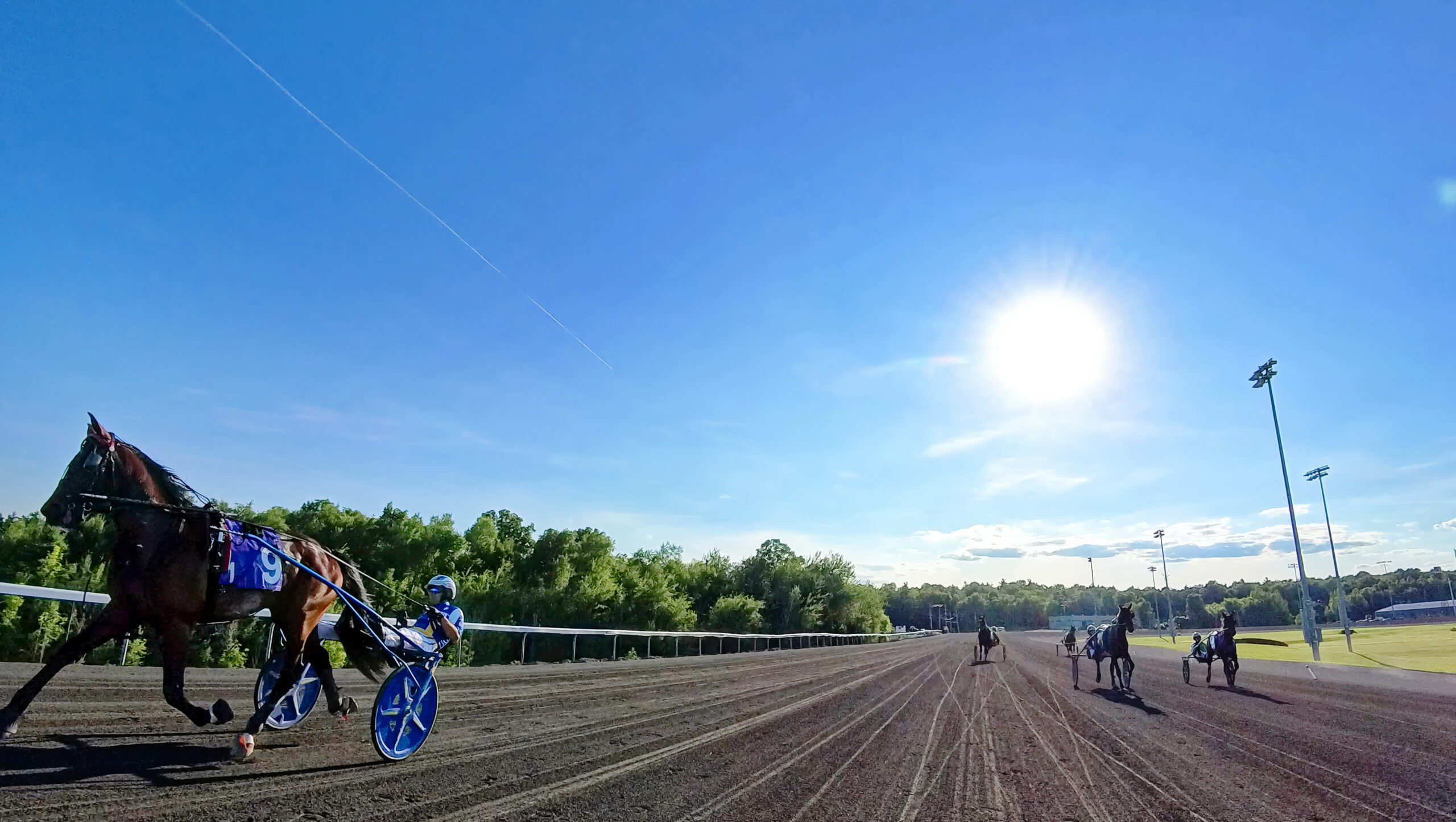 Woodbine Mohawk Park