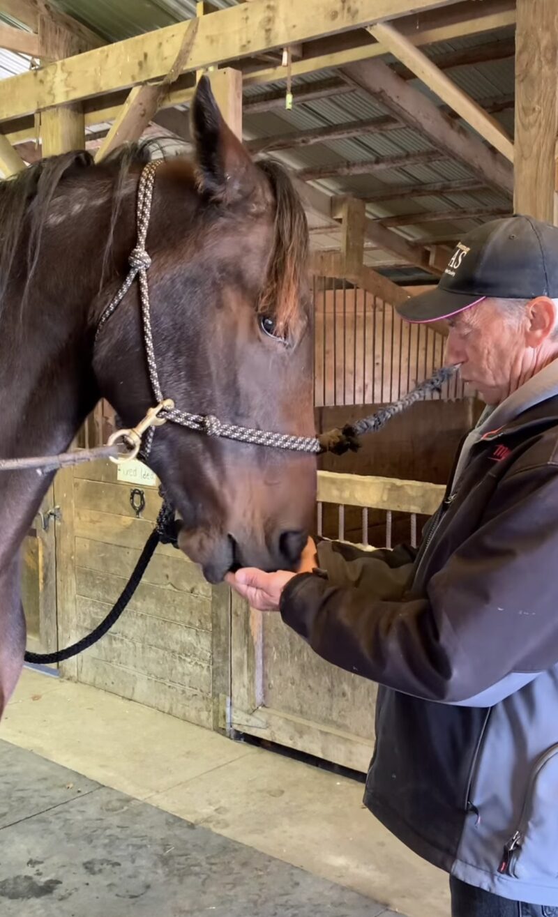 Naso Hanover and Bert Mollica