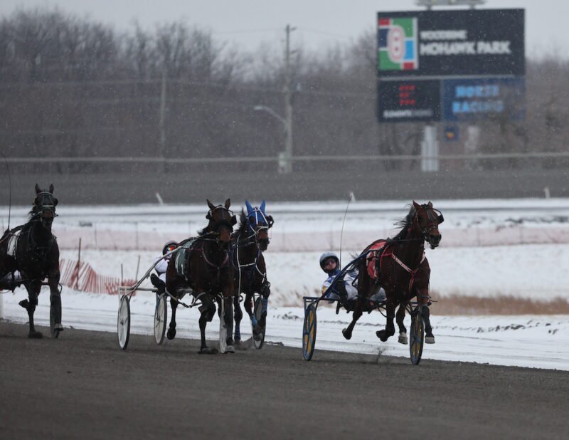 Multiple Carryovers for Boxing Day at Woodbine Mohawk Park