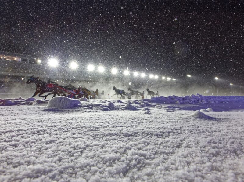 Woodbine Mohawk Park