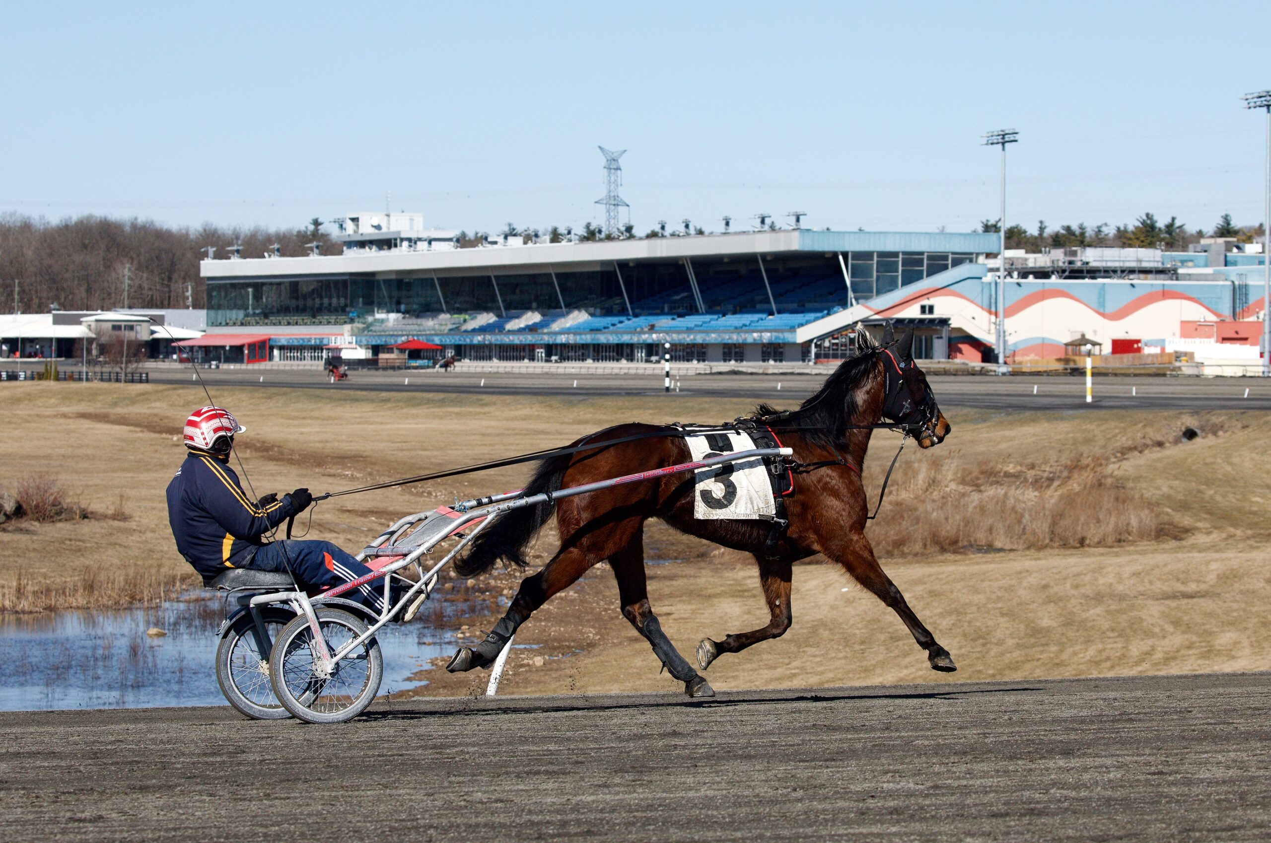 Training Cancelled and Qualifiers Moved at Woodbine Mohawk Park