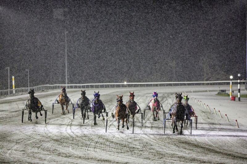 Winter racing at Woodbine Mohawk Park. (New Image Media)