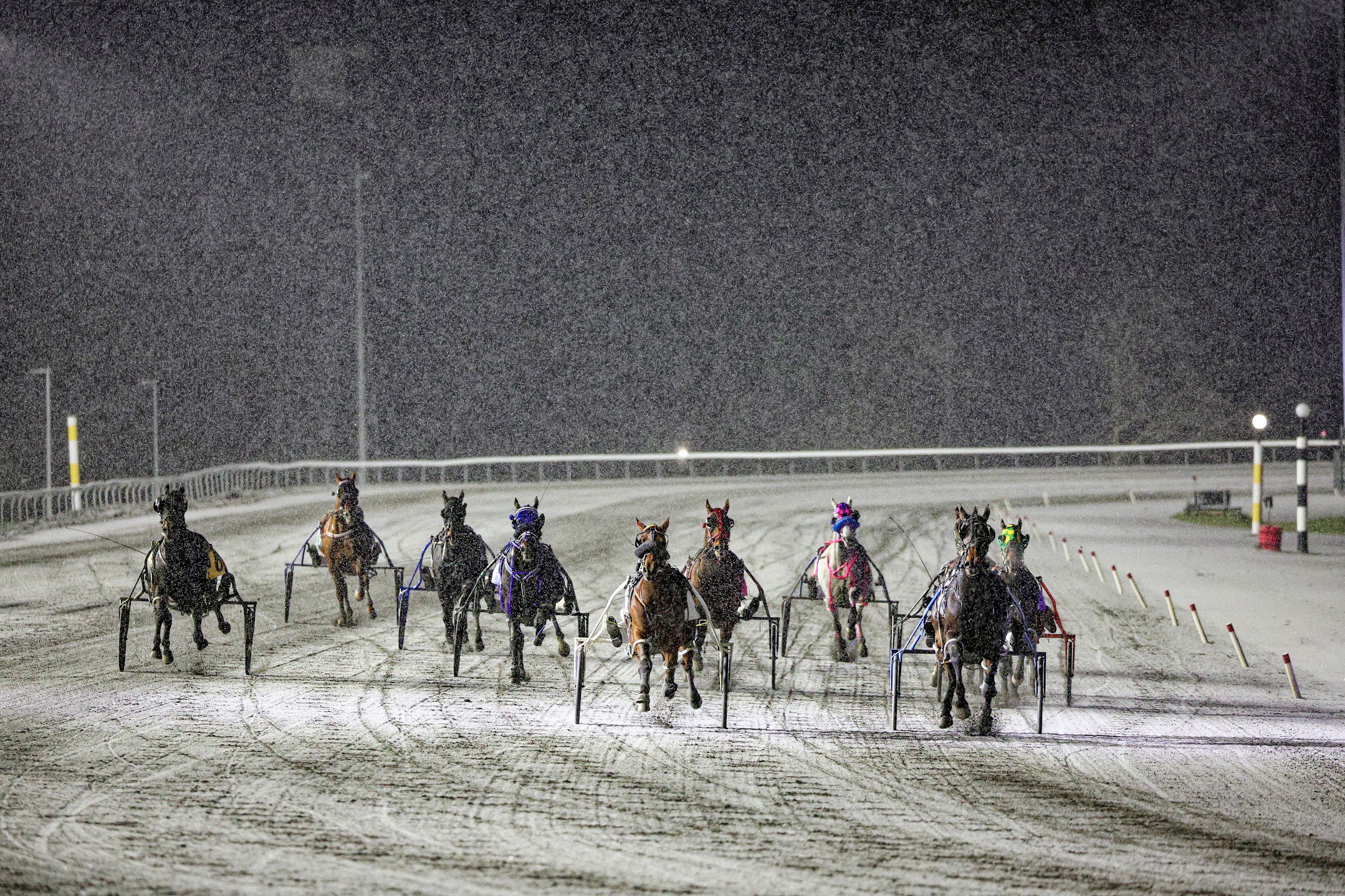 Winter racing at Woodbine Mohawk Park. (New Image Media)