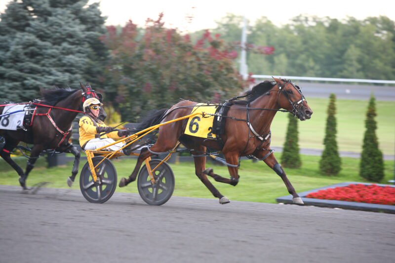 Cold Creek Pantera and driver Trevor Henry winning Race 2 on September 2, 2025 at Woodbine Mohawk Park (New Image Media)